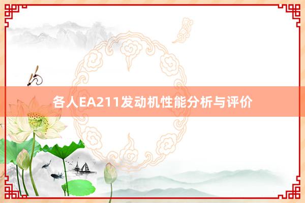 各人EA211发动机性能分析与评价