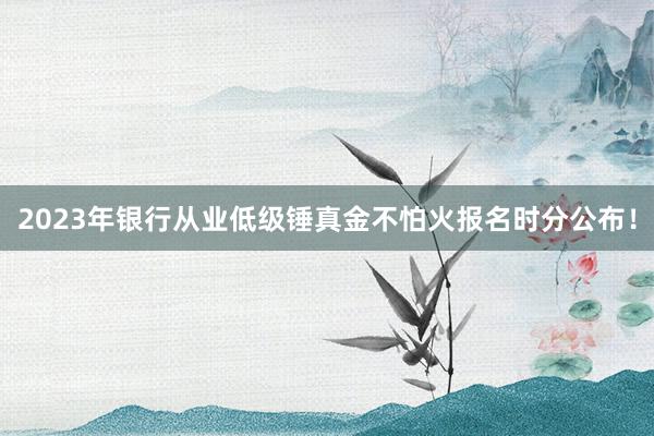 2023年银行从业低级锤真金不怕火报名时分公布！